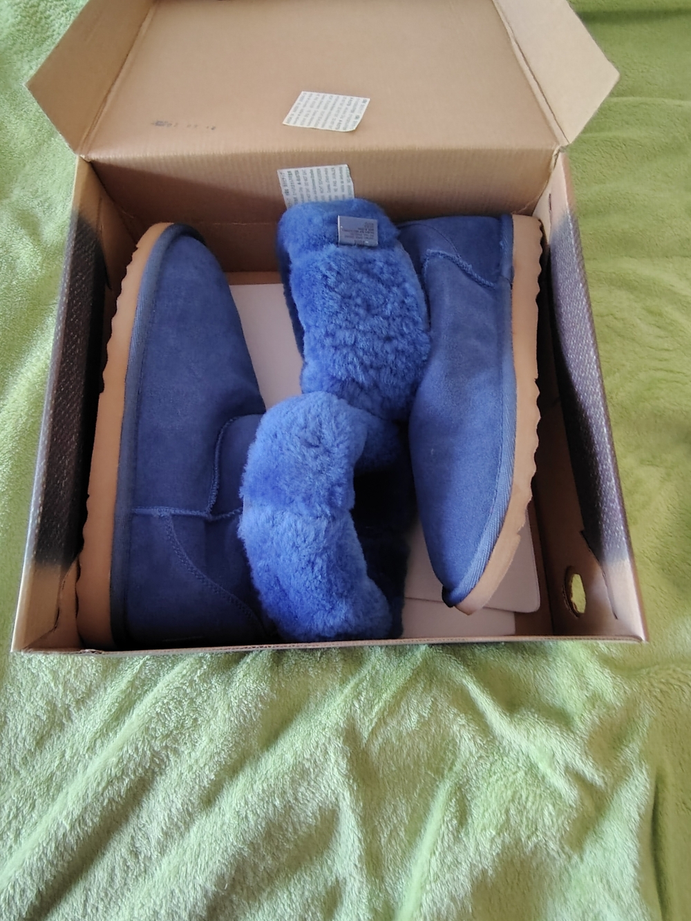 Zodiac Women's Plush Blue Suede Winter Boots